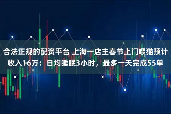 合法正规的配资平台 上海一店主春节上门喂猫预计收入16万：日均睡眠3小时，最多一天完成55单